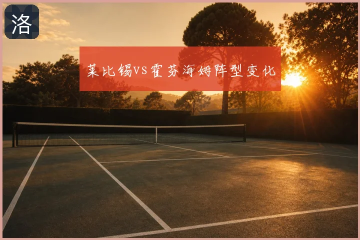 莱比锡vs霍芬海姆阵型变化